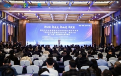 thumb_240_150_1763954244222044